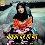Bewafa Door Ho Ja - Mahmood Khan Song Download